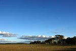 DSC09846