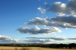 DSC09851