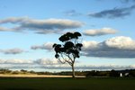 DSC09860