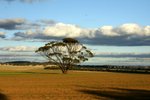 DSC09866