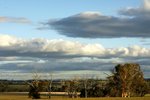 DSC09867