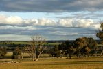 DSC09869