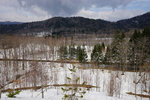 DSC00010