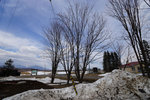 DSC00091