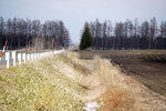 DSC04548