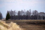 DSC04549