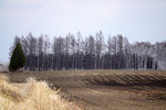 DSC04550