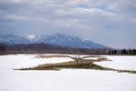 DSC04552
