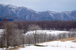 DSC04553