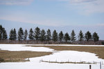 DSC04558