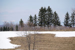 DSC04584