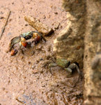 P1340883