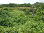 P7080260