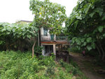 P7080268