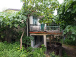 P7080269