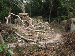 P7080290