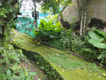 P7080295