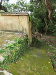P7080301