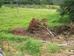 P7080306