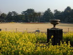 DSCN0080