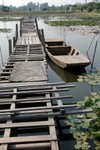 Lotus Farm 33
