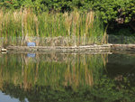 P1080034