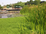P1080041