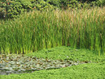 P1080045