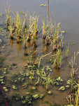 P1080049