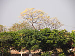 P1080054