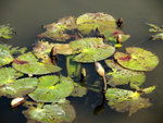 P1080057