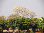 P1080059