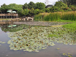 P1080061