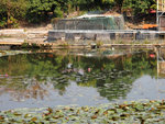 P1080064