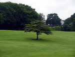 P1050142