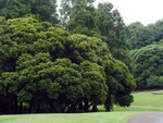 P1050154