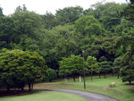 P1050158