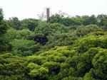 P1050160