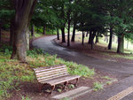 P1050163
