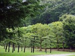 P1050164
