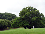 P1050166