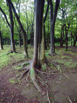 P1050167