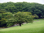 P1050168
