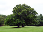 P1050169