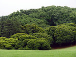 P1050170