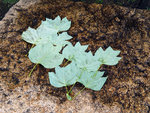 P1050175
