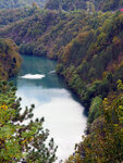 P1277358