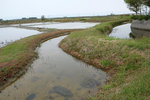 DSCF2639