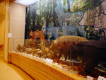 P1377869