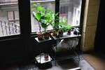 HLK_1079